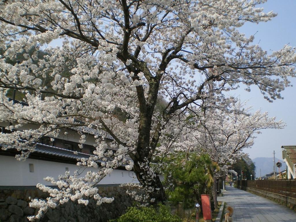 Terakoya Hanatei Asago Exterior photo